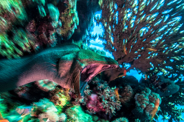 ��� ����� ������, ����� ���� ����� ������� � �������� ������ ��������� ��� ��������.