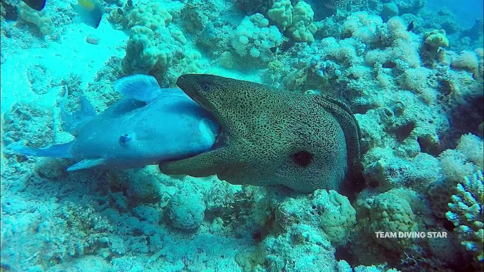 ���-����, �� ������� ��-�� ����.