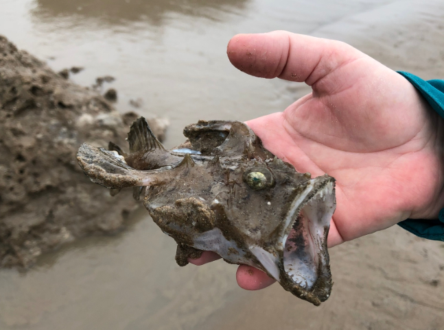 ���������.