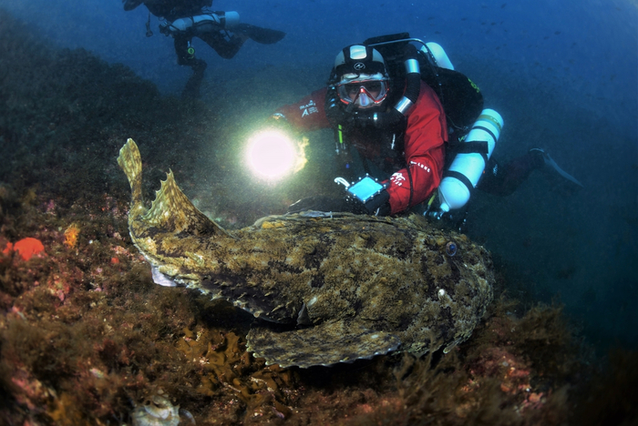 ���� ����� ��� ��������� �� ������ ����, � �� �����, ������ �� ������� �������!