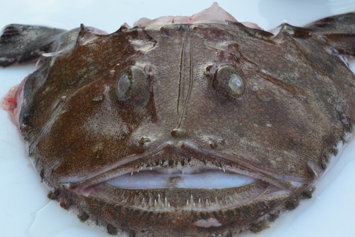 ������, ����, ���� 50 ������? ����� �����.