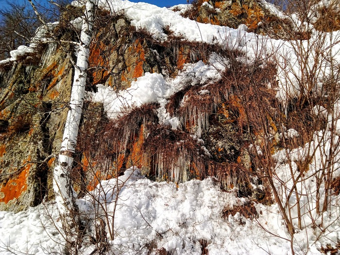 ���������� � ����. ���������� ����� ������� �� ������.