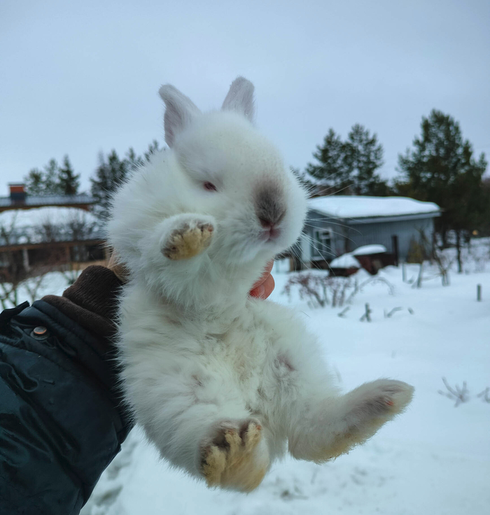 ����� ����� ����, ����� ����� �� �������� � ������� � ��������.