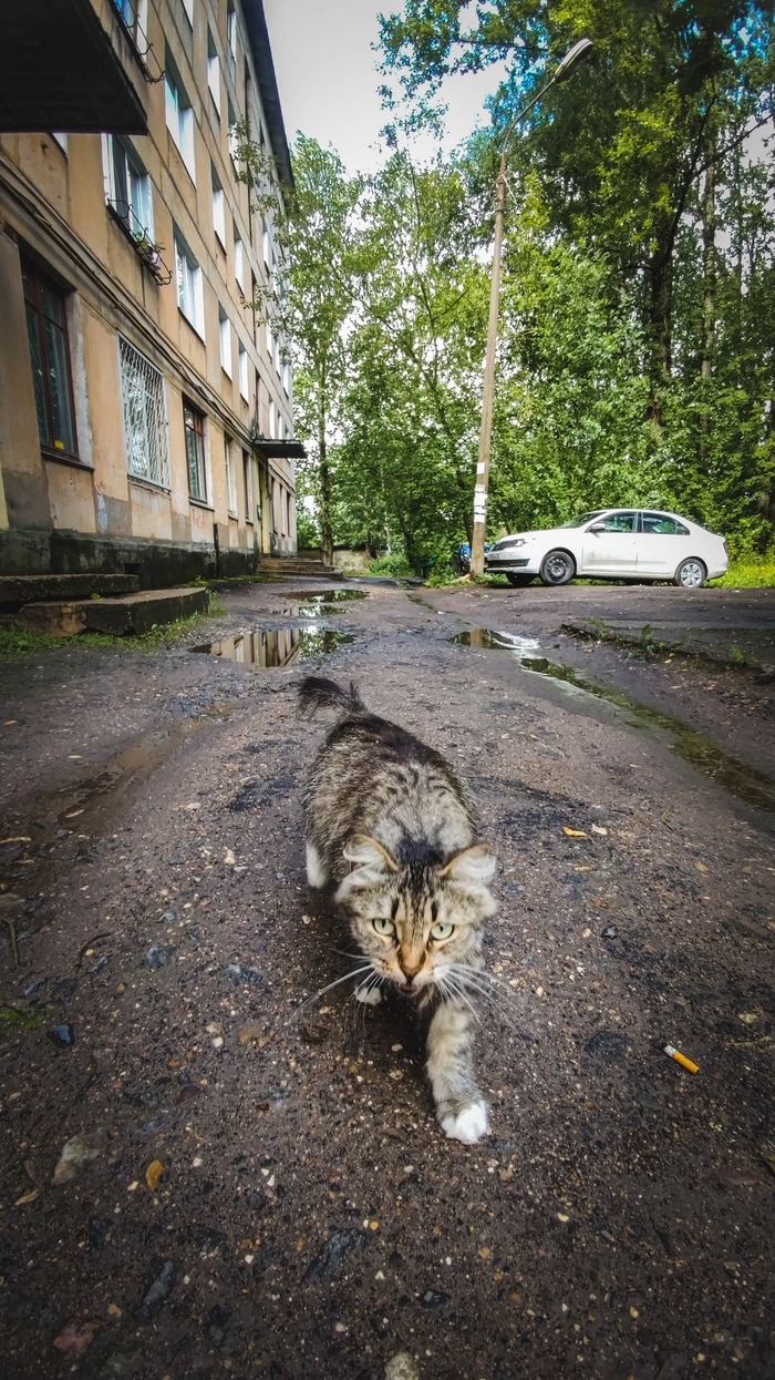 ��, ������.