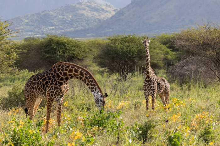 ����� � ���� ��� �� ��� �����, �� ����� �� ����� �����. ������� �������, ��������, 2025 �. �����: ������� �������.