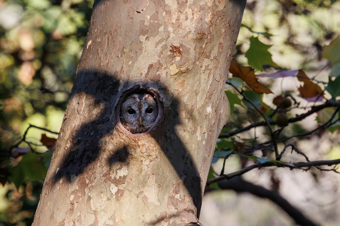 ��� ����� ���� ����� �����.