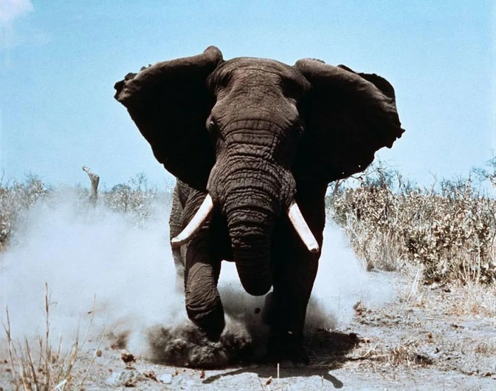 ��� �� ������, ��� ������ ��� ������ ������?