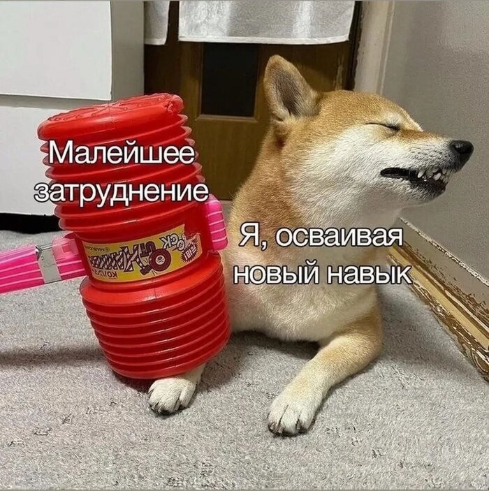 ��� ����� ����� ������ �� ������