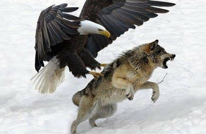 �� ����� ���� ������� �������? �� � ���� ��� �� ����� �����, ��, ������� ���������!