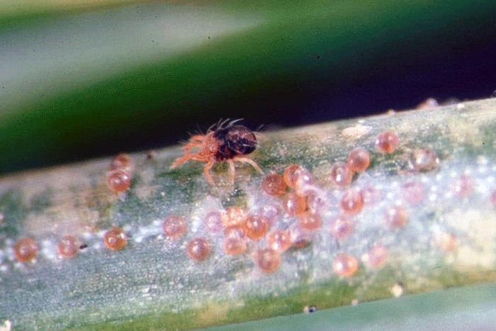 ��������� ����� ��������� ���� ����� �� ���������. �� �������� � ������ ��������.