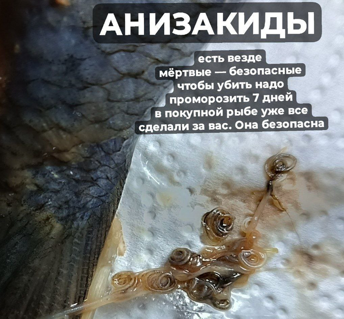 �� ���� ����� ���� � ���� ���� ��������