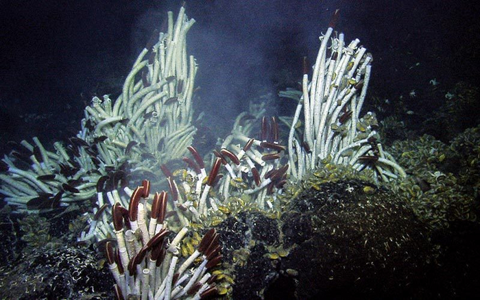 ��������� ����, ��� ������ �������� �������, ����� �������� ��� ����������� ���� ��������.