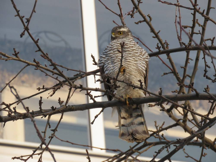 ������������, � ���� ������ ��������?