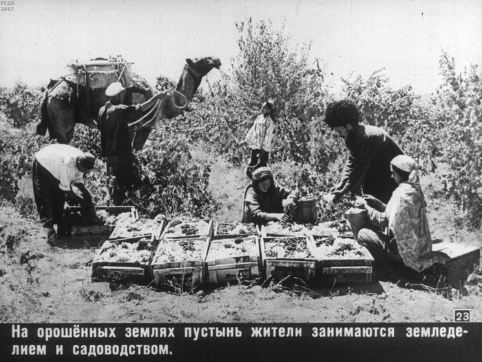 ���� �� ��������� "� �������� ����"