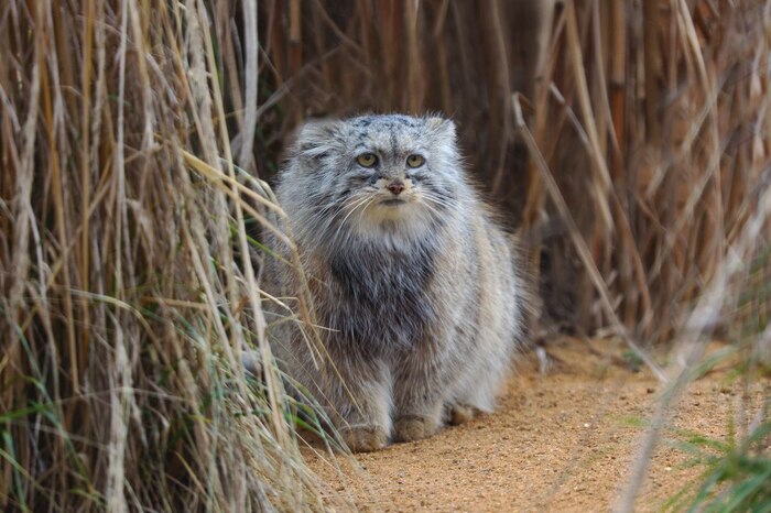 ��-�... � ��� ����������?