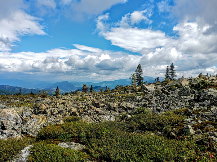 ������ ����� � ������