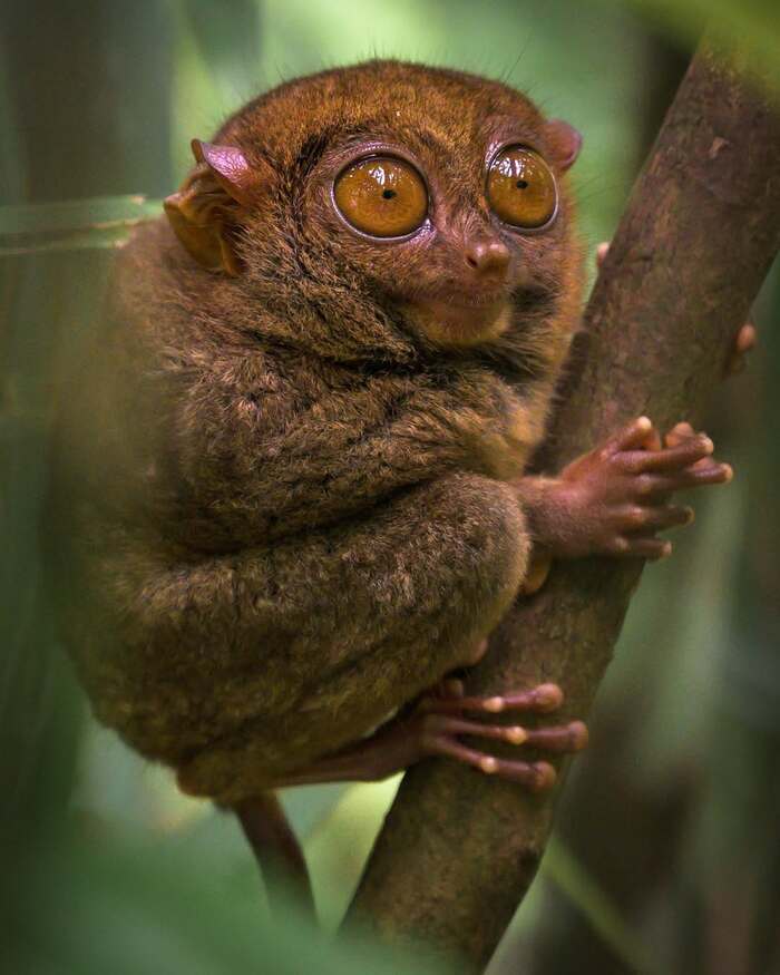 ������������ ��������.