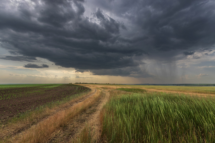 ��� ������ ���