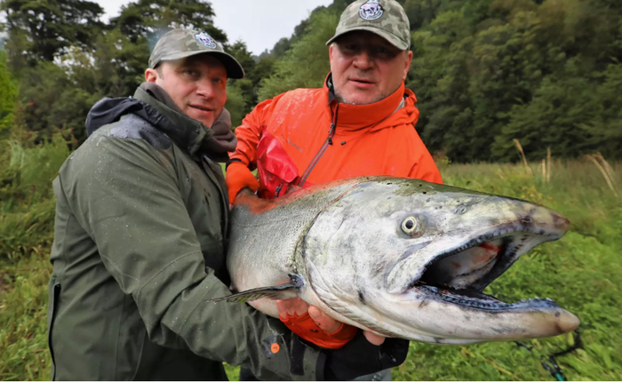 ��� ���, ��� ���, ���� ���� ����� (������).