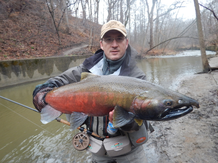 ������� ������� (�����).