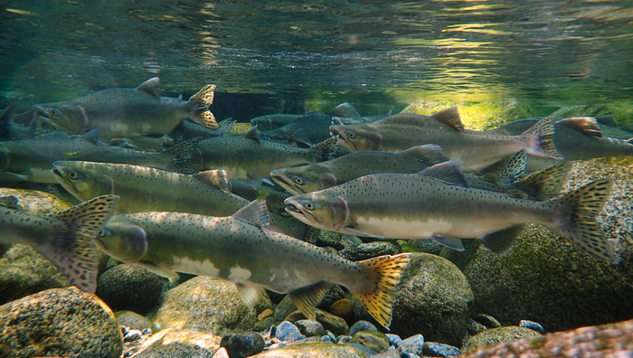 �� �� ��������� ��, ������� �����������!