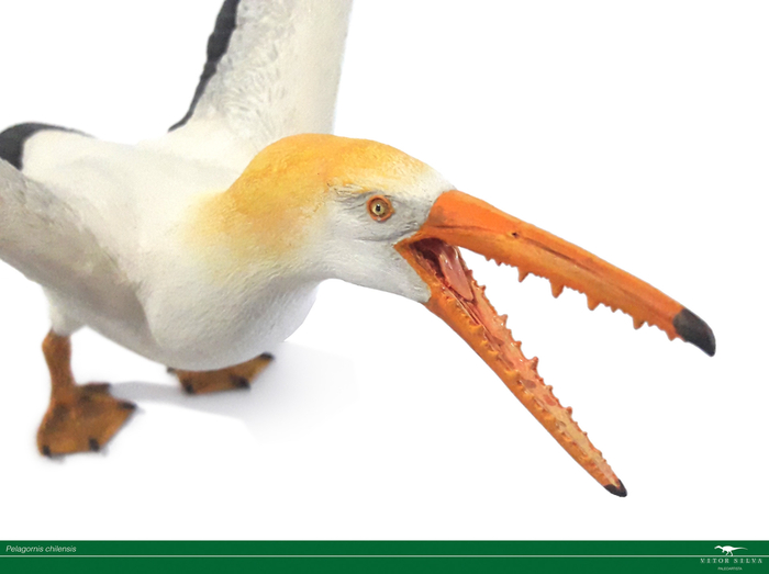 А на этой реконструкции он вообще смахивает на гуся размера XXL.