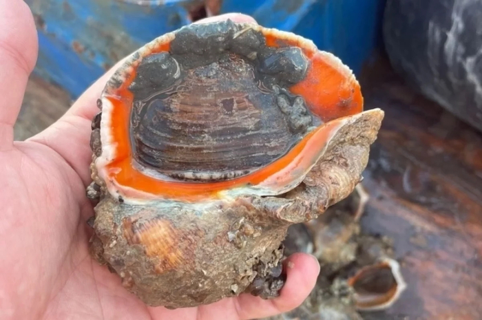 � ������� ��� ���� �������. ����������� �����. � �����, �� �����? � ������������� ������� �����!