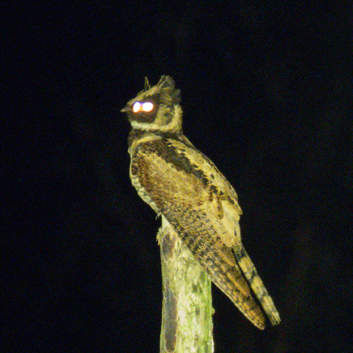 ������ ��� � �����!