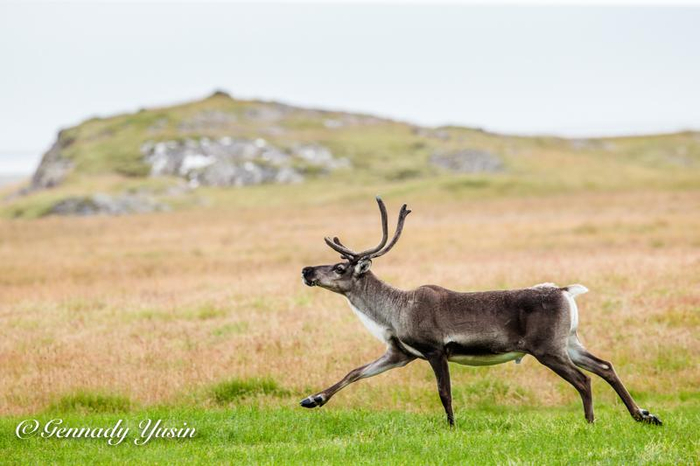 �������� �����. ����: �������� ����