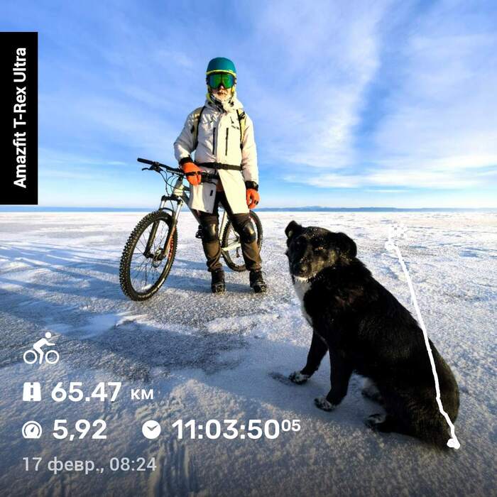 ������ ��������� ������