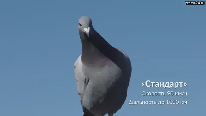 ����� �� ���� ���������� ������