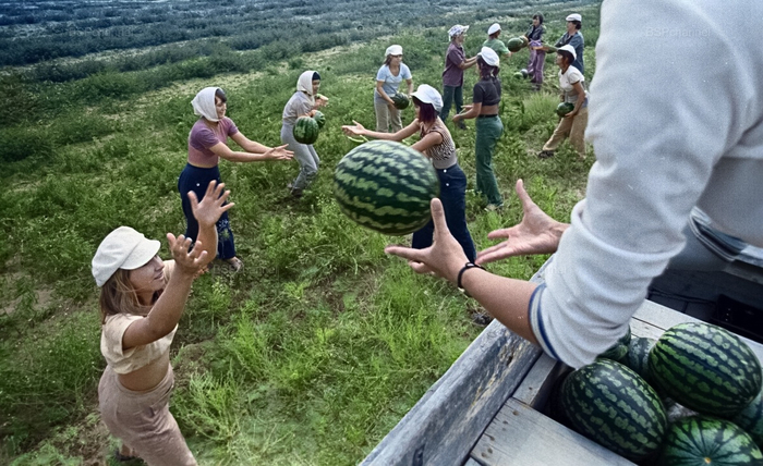 ��������: ������ ��������