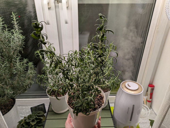 17-� �������