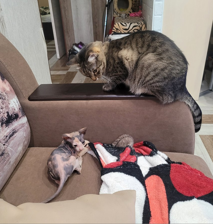 ����� � �������