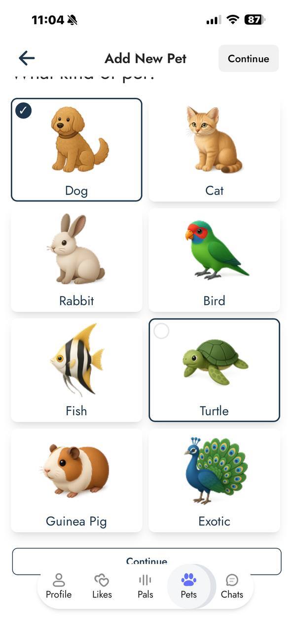 ����� ���� �������