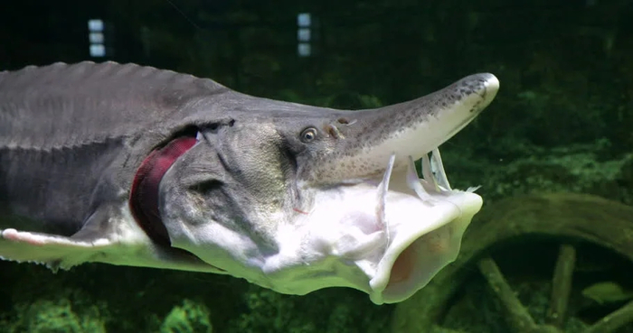 ��, � ����� � ���������� � ����� ������ ��. �� ���������� �� ���� ������, ��� ����� ��������!