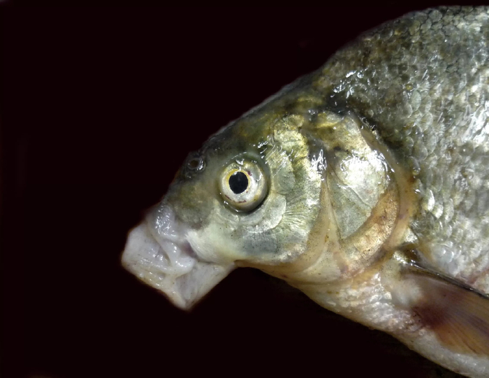 ����� ������ ���������� ���� �� ��.