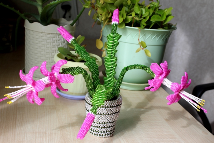 ���������!