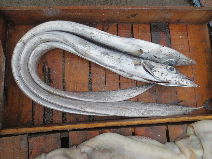 � ����� ������� ���� ���� ���� ��������� ����������: ������ ���� ����� ��������� �� ������ �������������, ������� ��������� ����� �� ���� ���������� ���������� ������������� �������� � ������� �������� ������.