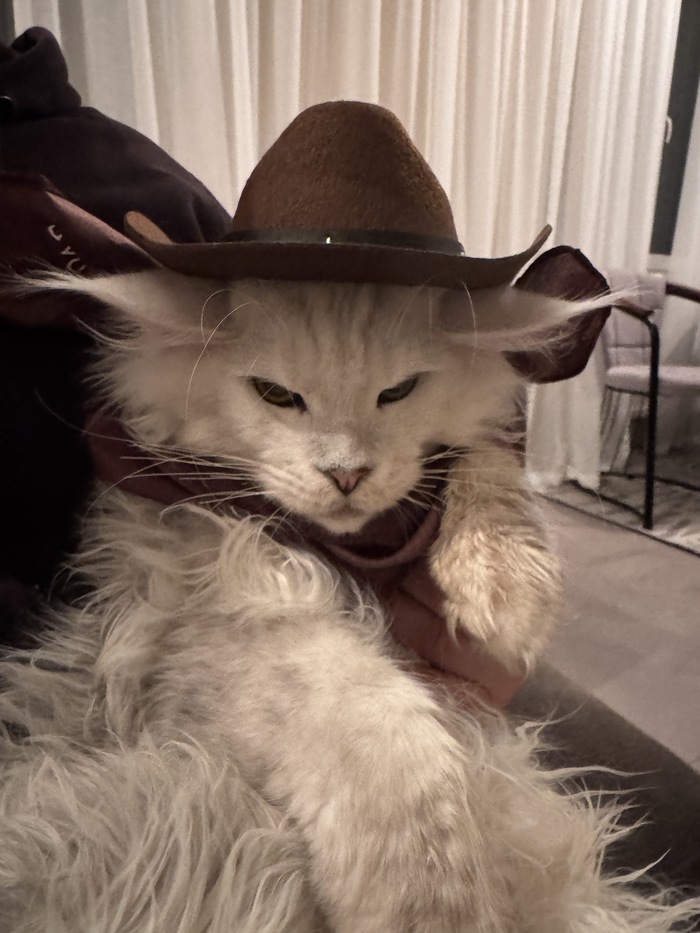 �����, ��� ������ �� ���� �����