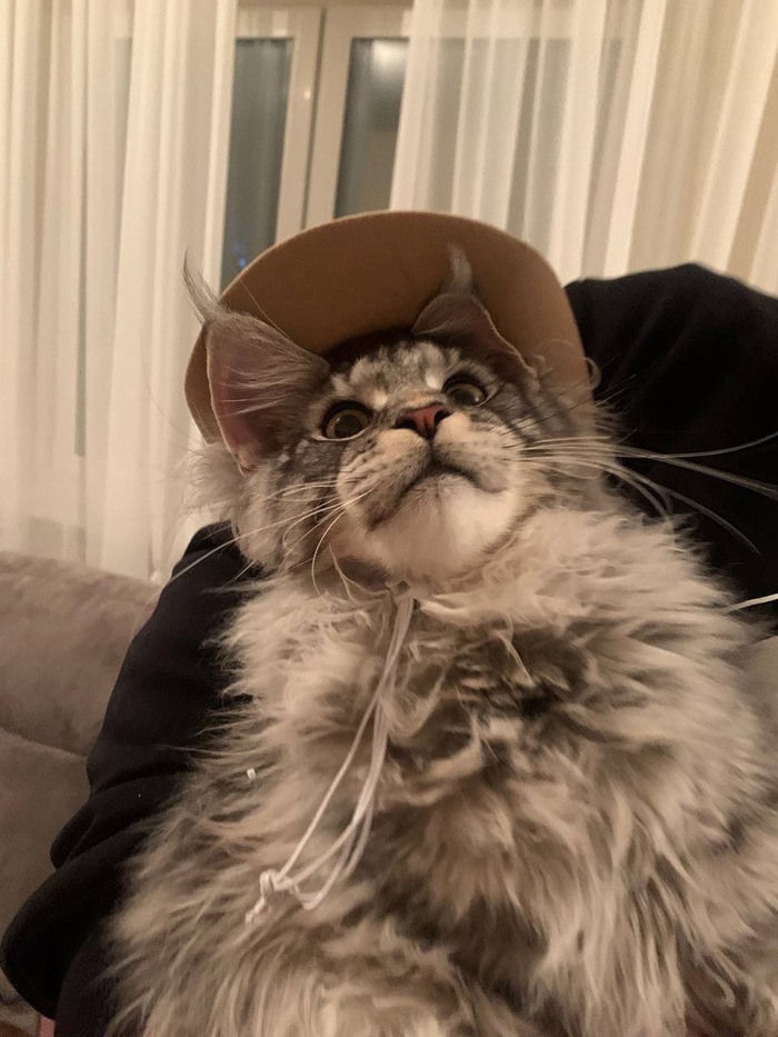 ��� �� ���, �����? � ���� ������� ����!