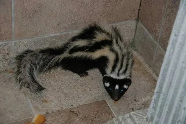 ��� �� �� ����� ����. ��� ���� ������� �� ����!