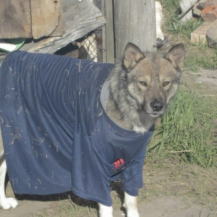 ���� � ����� ��������, �������� �� ������ �������� � 6 ����. �������� �������!