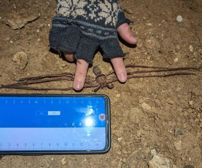 ������� � �������� ����������: �������� �������������, ��������� �����, ������� �����. ������ � �������� ����������.