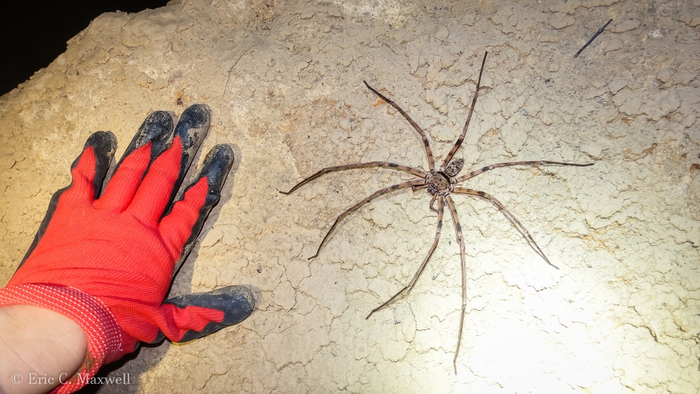 � ��� ����� ������ ���� �� ����� ���������� ������ � ������...