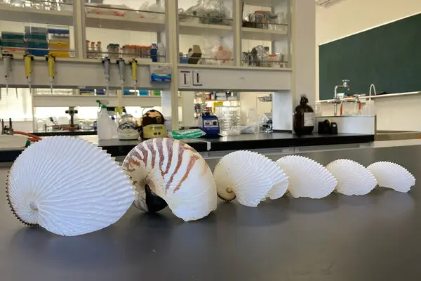 5 �� 6 ������� ������������ ����������. � ���� � ���������. �������� �� �������� ��������.