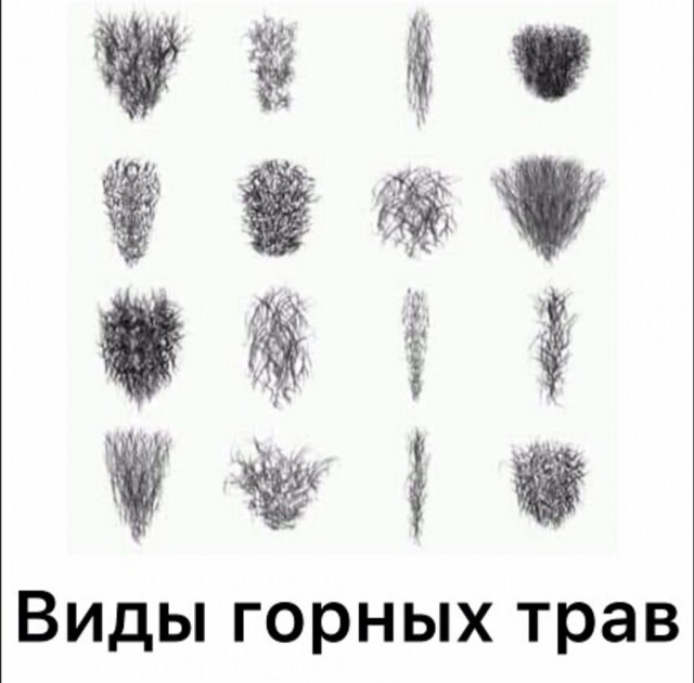 ����������� ������ �����!