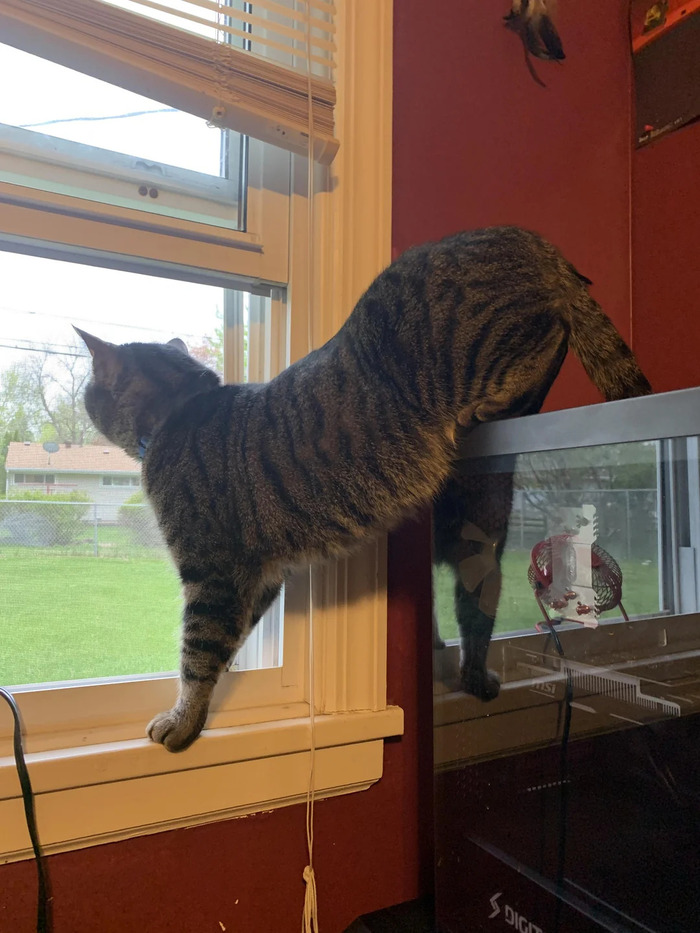 ��, ��� ��� ������