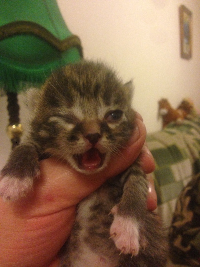 Пиратское...