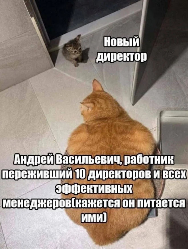 ����������� �� �� � �������� ��������?